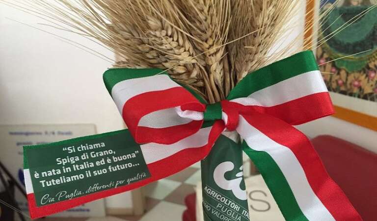 CIA PUGLIA: “NO ALLO SLITTAMENTO DI GRANAIO ITALIA, CEREAGRICOLTORI TRADITI”