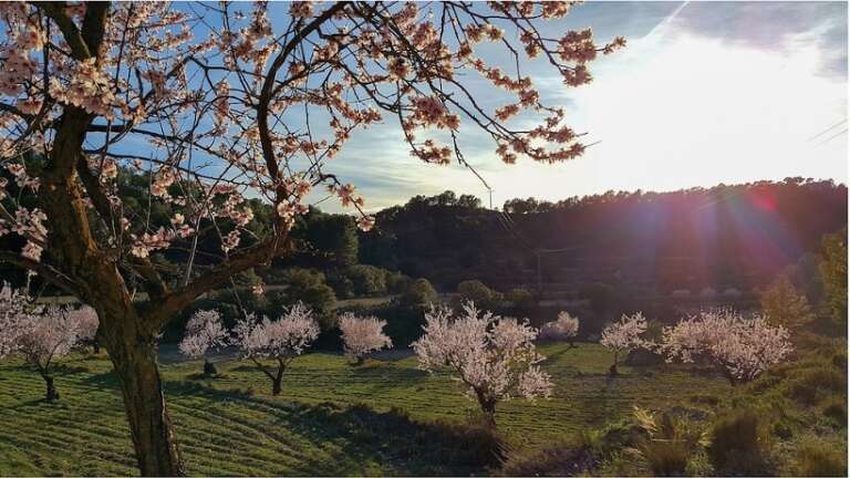 PARCO GARGANO, AL VIA IL PROGETTO “SITI NATURALI UNESCO PER L’EDUCAZIONE AMBIENTALE”