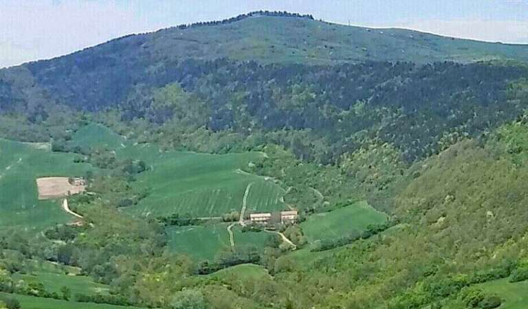 QUANTI SONO ALTI I RILIEVI DEL GARGANO?