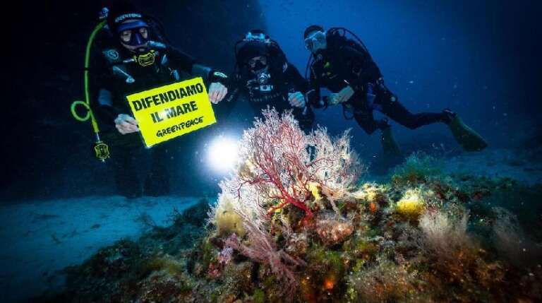 IL PARCO DEL GARGANO RINNOVA LA PARTECIPAZIONE A “MARE CALDO” DI GREENPEACE