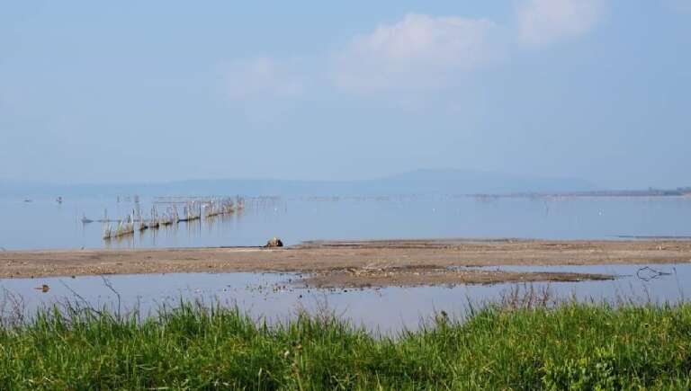 MORTE E RESURREZIONE GASTRONOMICA DEI LAGHI DI LESINA E VARANO