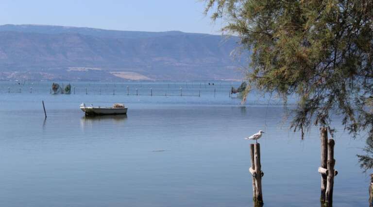 LAGO VARANO, GRAVE INERZIA DELLA REGIONE PUGLIA