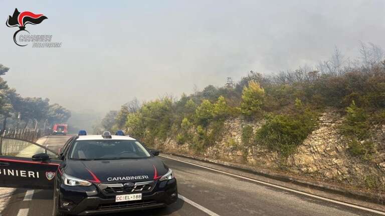 INCENDIO ALLA RISERVA NATURALE DI MARGHERITA DI SAVOIA. I CARABINIERI FORESTALI ARRESTANO UN 74ENNE