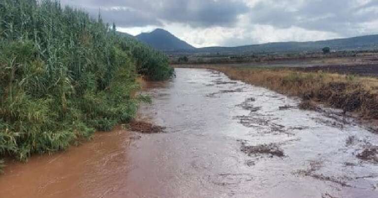 SEGNALAZIONE DANNI DA AVVERSITA’ ATMOSFERICHE NEL TERRITORIO DI SAN NICANDRO GARGANICO