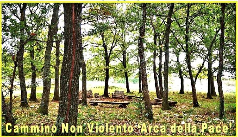 CAMMINO E RIFLESSIONI SUL DIGIUNO DI PACE