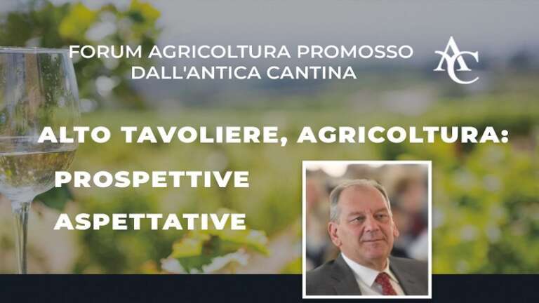 ALTO TAVOLIERE, AGRICOLTURA: PROSPETTIVE E ASPETTATIVE