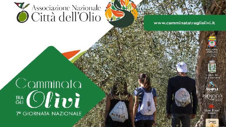 CARPINO CELEBRA LA CAMMINATA TRA GLI OLIVI: COMUNE E PRO LOCO A LAVORO PER LA XII GIORNATA