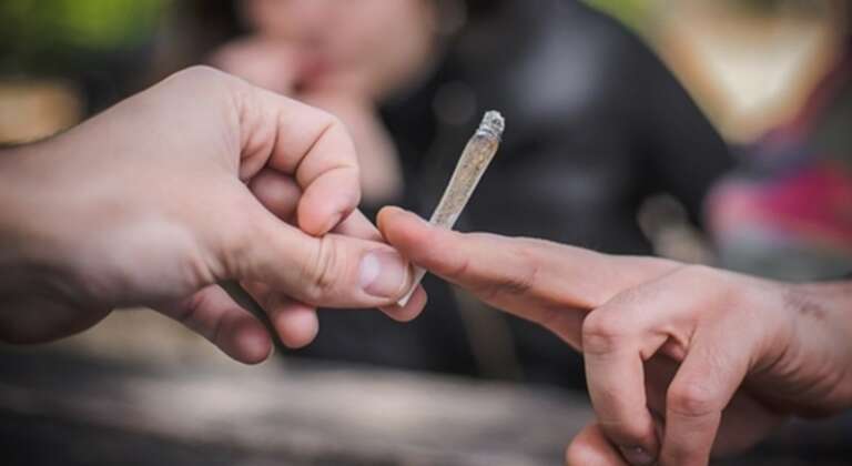 CANNABIS: 1 CONSUMATORE SU 3 SVILUPPA DISTURBI CLINICI E SOCIALI