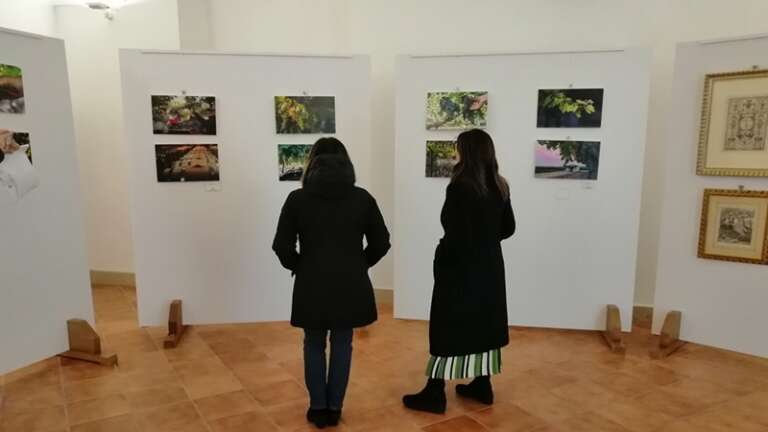 PARTE “SAN SEVERO AUTUNNO IN GUSTO 2023”: MOSTRA FOTOGRAFICA “IL VINO E L’OLIO”