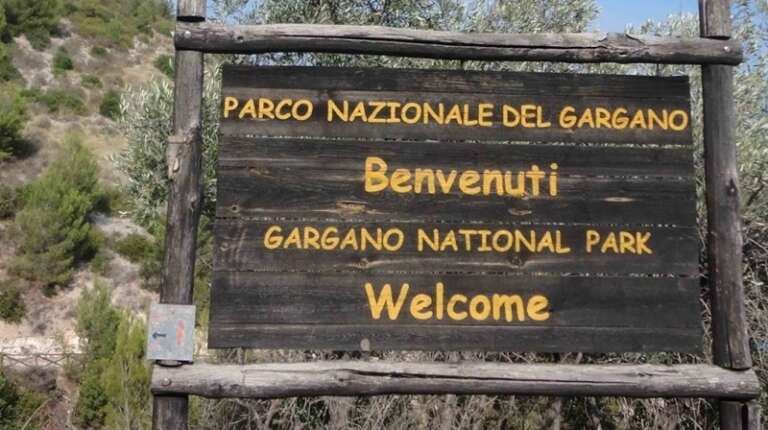 PARCO DEL GARGANO, UNO SCRIGNO DI MERAVIGLIE CON IL CALENDARIO 2024 (DA SCARICARE)