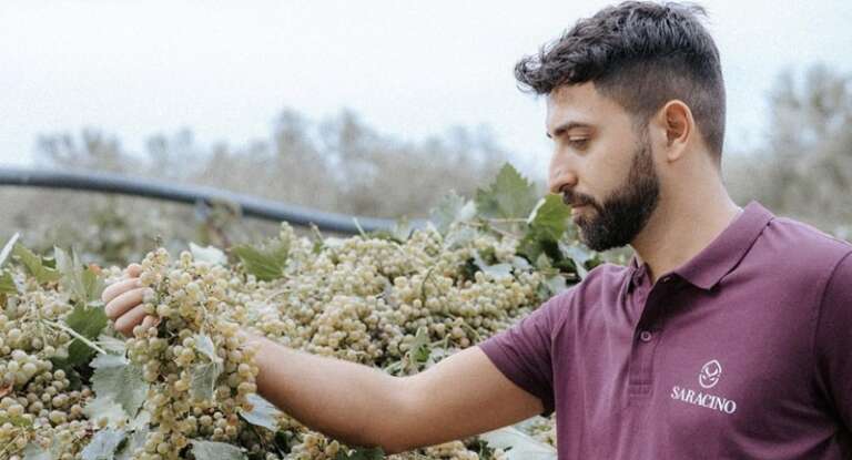 I VINI DELLA CANTINA SARACINO PUGLIA “CANTERANNO” AL FESTIVAL DI SAN REMO