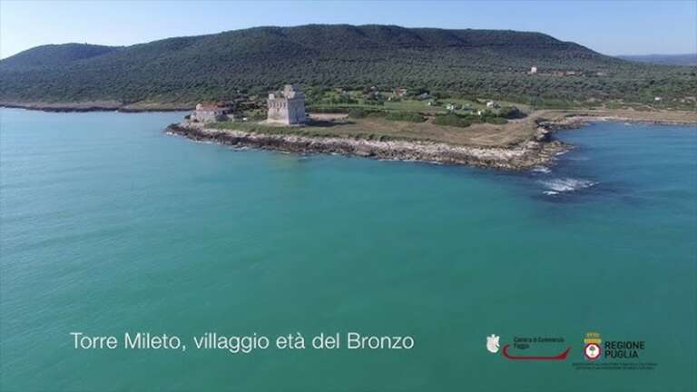 INDAGINI PRELIMINARI NELL’INSEDIAMENTO FORTIFICATO DELL’ETA’ DEL BRONZO DI TORRE MILETO