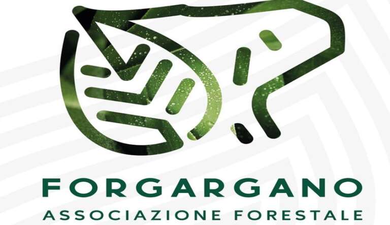 COSTITUITA LA “FORGARGANO”