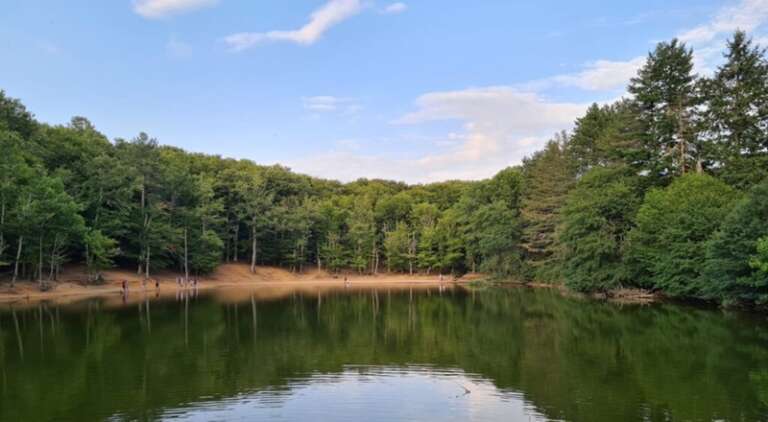 IL PARCO DEL GARGANO SI AGGIUDICA 5 MILIONI DI EURO PER INTERVENTI SUL PATRIMONIO FORESTALE