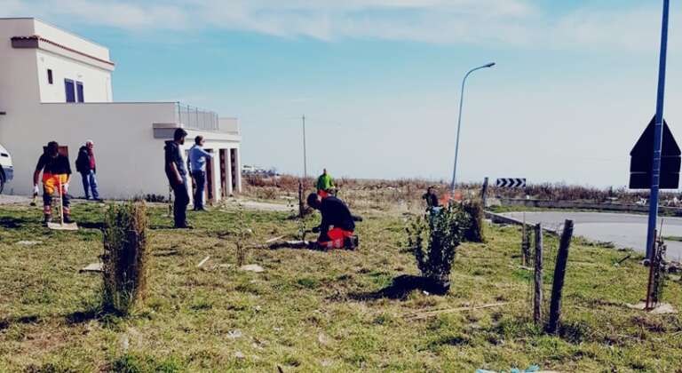 IL PROGETTO ETHOSLAND RENDE MONTE S. ANGELO PIÙ GREEN CON NUOVI ALBERI NELL’AREA URBANA