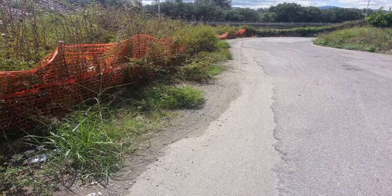 STRADE PROVINCIALI, ORDINANZA AI PROPRIETARI DEI TERRENI PULIZIA PIANTE E SIEPI SULL SULLA SEDE VIARIA