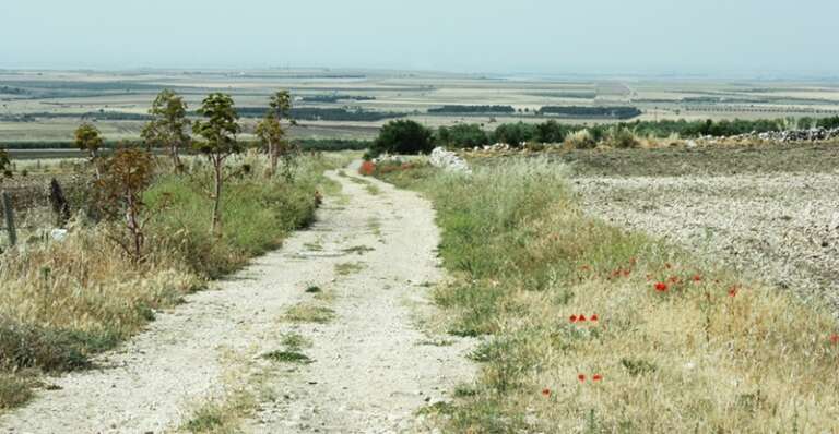 I TRATTURI DI PUGLIA: UNA RISORSA DA VALORIZZARE