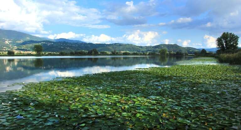 PAESAGGIO RURALE: PATRIMONIO D’ITALIA DA TUTELARE PER LA CULTURA E PER LA SOSTENIBILITÀ
