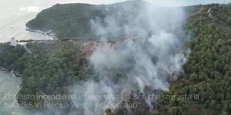 L’ORDINE DEI GEOLOGI DELLA PUGLIA INTERVIENE SULL’INCENDIO NEI PRESSI DI VIESTE