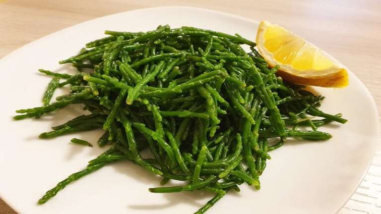 A CAGNANO l’8^ EDIZIONE DELLA FESTA DEL PANE E DELLA SALICORNIA