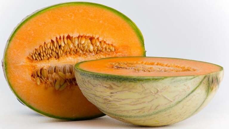 MELONE, LA DOLCEZZA TIPICA DELL’ESTATE