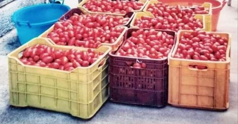 SAN NICANDRO, TEMPO DI “SALSA”