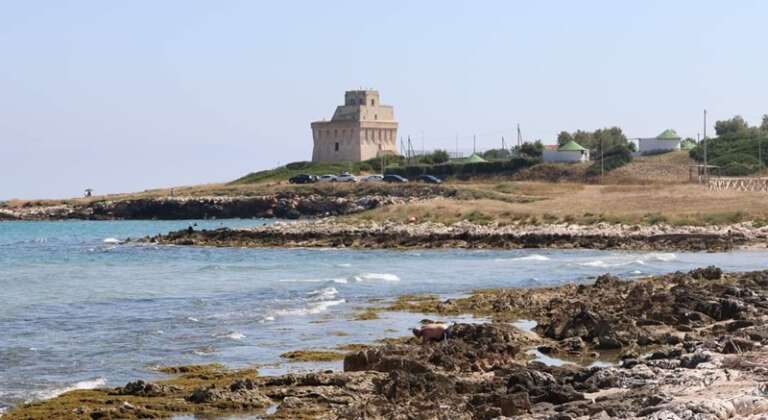 TORRE MILETO: ATTIVATE CORSE SPERIMENTALI PER IL MESE DI AGOSTO