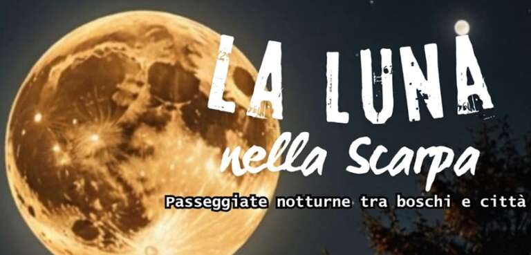 ESTATE SANNICANDRESE 2024 – GLI EVENTI DI OGGI