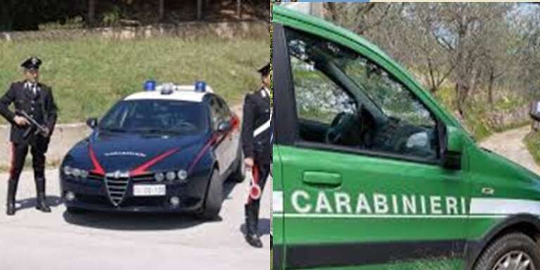 SAN NICANDRO GARGANICO, 5 PERSONE ARRESTATE PER COLTIVAZIONE DI PIU DI 1800 PIANTE DI MARIJUANA