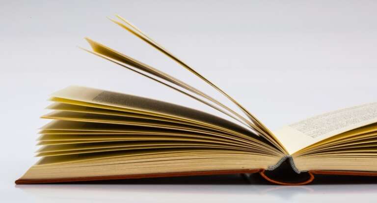 IL CERVELLO DI CHI LEGGE FUNZIONA MEGLIO