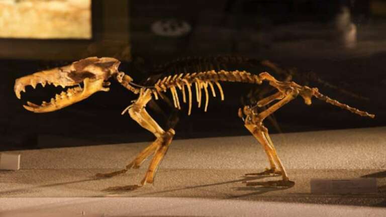 QUANDO IL GARGANO ERA UN’ISOLA ED ERA POPOLATA DA ANIMALI GIGANTI