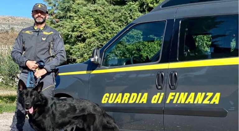 OLTRE 290 SEQUESTRI GRAZIE ALLE UNITÀ CINOFILE DELLA GUARDIA DI FINANZA DI FOGGIA