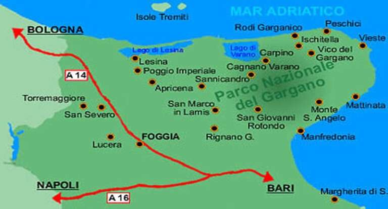 PER IL PROGETTO “CITTA’ GARGANO” PARLANO I SINDACI