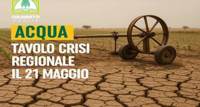 SICCITÀ: CAMPAGNE A SECCO, DIGHE VUOTE, IMPIANTI KO. LA PUGLIA È ASSETATA