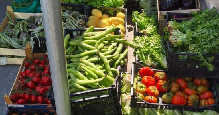 ANGIOLA E CANDELA: TOLLERANZA ZERO VERSO L’ABUSIVISMO COMMERCIALE