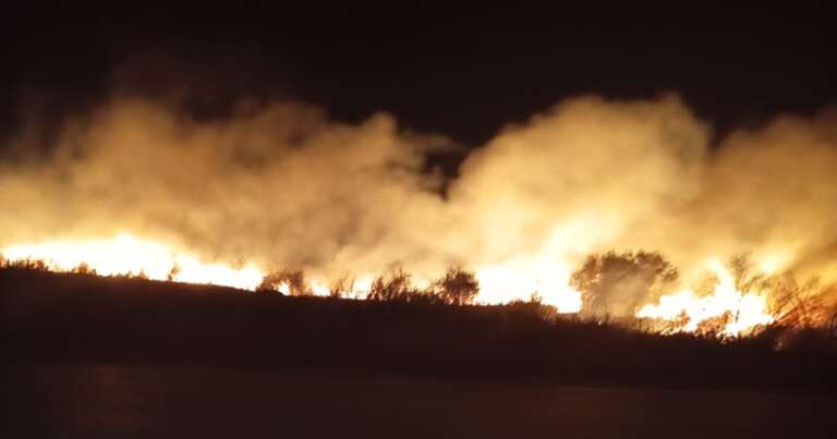 ASP ZACCAGNINO, CONDANNA PER GLI INCENDI DOLOSI E APPELLO ALLE ISTITUZIONI