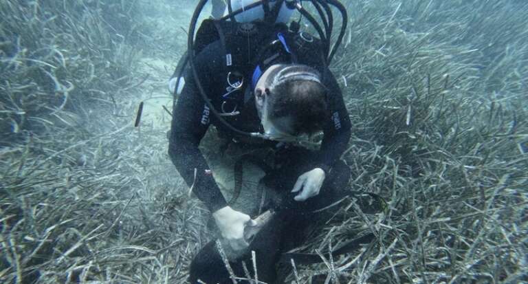 “SOS POSIDONIA” NELL’AMP DELLE ISOLE TREMITI: 5 GIORNI PER PARLARE DI CULTURA, EDUCAZIONE AMBIENTALE
