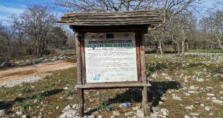 NEL CUORE DEL GARGANO LA 1^ EDIZIONE DI “SPINAPULCI TRAIL”: NATURA E SPORT A SAN NICANDRO