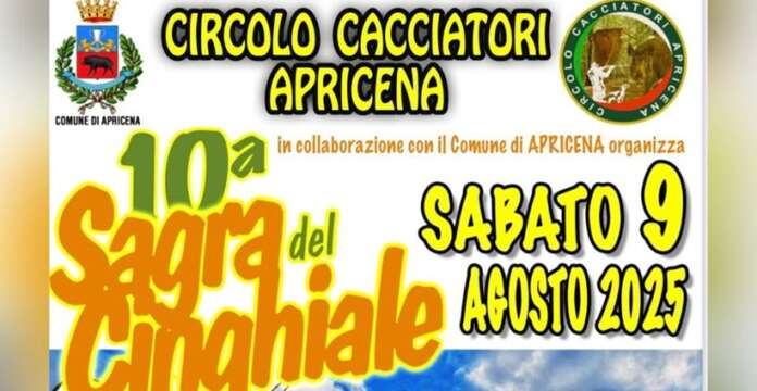 cinghiale 9 agosto