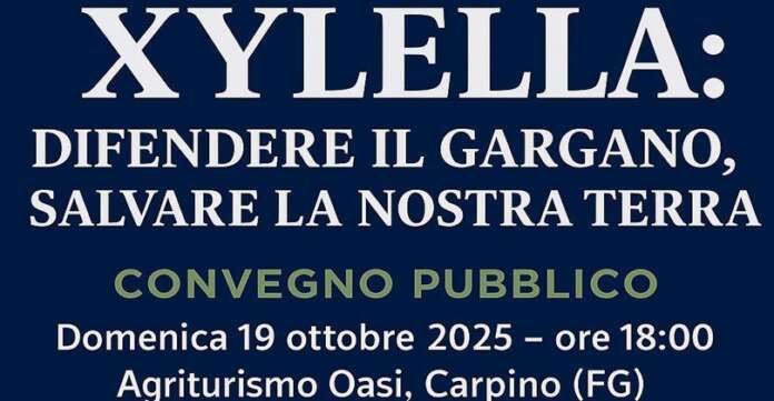Convegno Xyllella Carpino