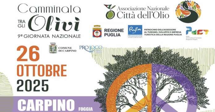 OLIVETA