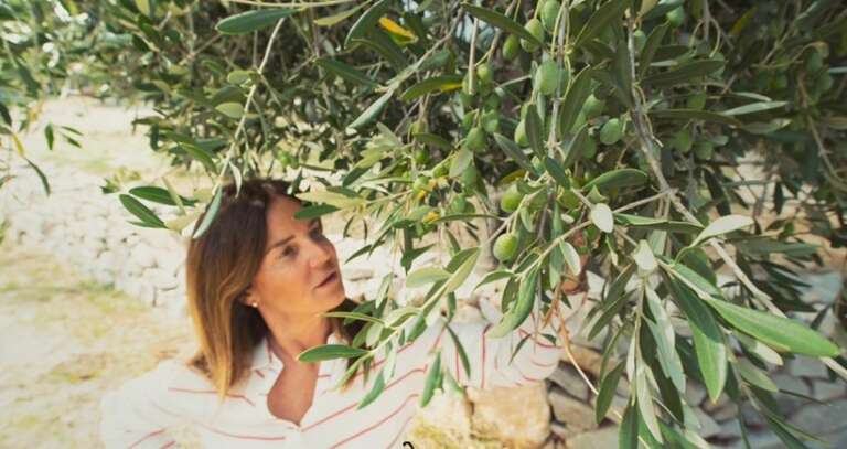 INTERROGAZIONE PARLAMENTARE DELLA SEN.ANNAMARIA FALLUCCHI SUL PROBLEMA DELLA XYLELLA